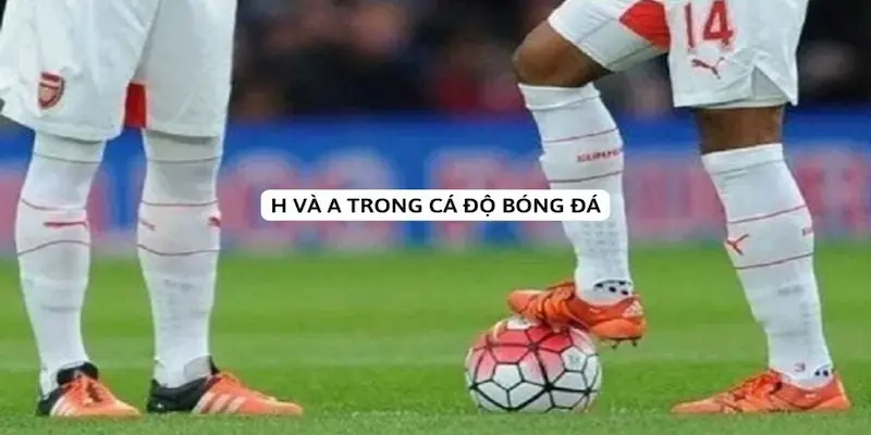 Các loại chiến lược cá độ phổ biến hiện nay
