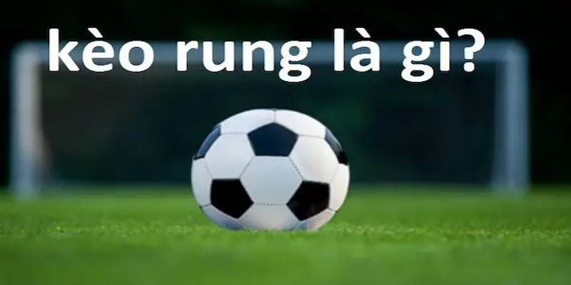 Các loại kèo phổ biến trong nhóm kèo rung là gì?