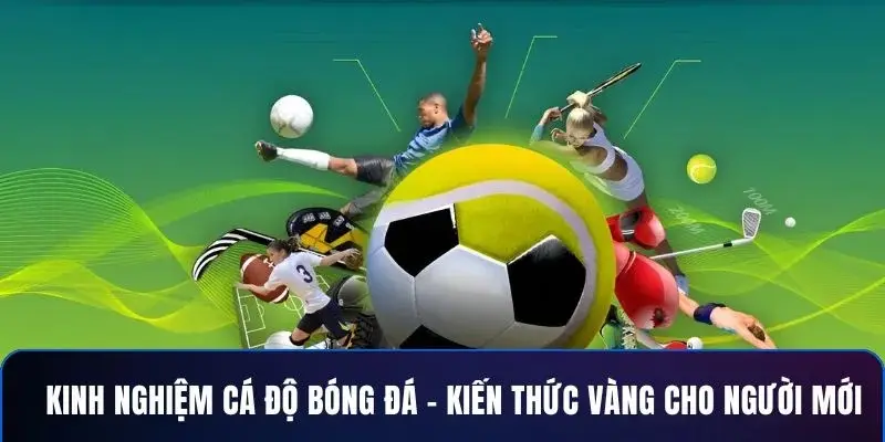 Cách đọc kèo bóng đá cho người mới hiệu quả